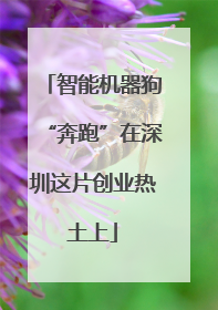 智能机器狗“奔跑”在深圳这片创业热土上