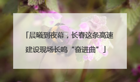 晨曦到夜幕，长春这条高速建设现场长鸣“奋进曲”