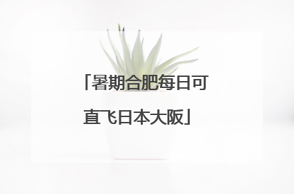 暑期合肥每日可直飞日本大阪