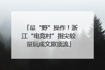 最“野”操作！浙江“电竞村”指尖较量玩成文旅顶流