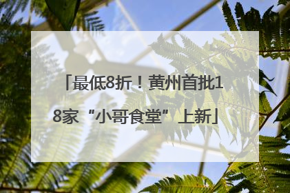 最低8折！黄州首批18家“小哥食堂”上新