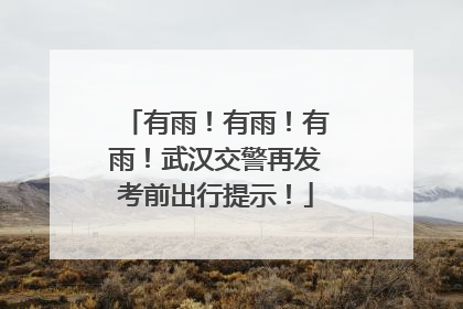 有雨！有雨！有雨！武汉交警再发考前出行提示！