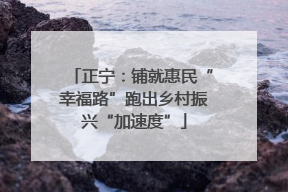 正宁：铺就惠民“幸福路”跑出乡村振兴“加速度”