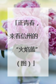 正青春，来看信州的“火焰蓝”（图）
