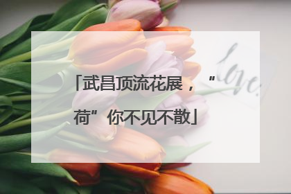 武昌顶流花展，“荷”你不见不散