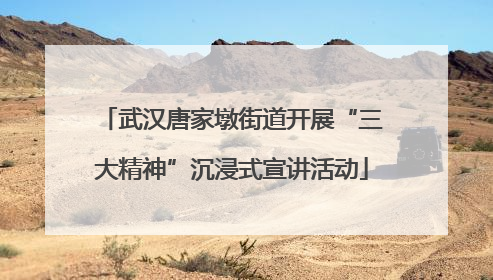 武汉唐家墩街道开展“三大精神”沉浸式宣讲活动