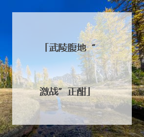 武陵腹地“激战”正酣