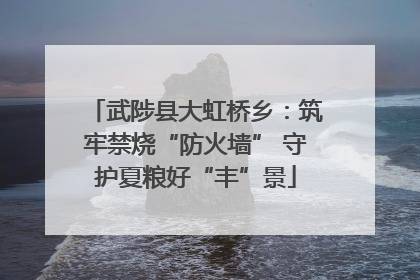 武陟县大虹桥乡：筑牢禁烧“防火墙” 守护夏粮好“丰”景