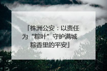株洲公安：以责任为“粽叶”守护满城粽香里的平安
