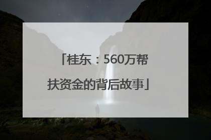 桂东：560万帮扶资金的背后故事