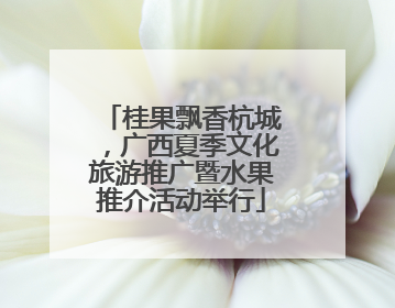 桂果飘香杭城，广西夏季文化旅游推广暨水果推介活动举行