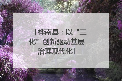 桦南县：以“三化”创新驱动基层治理现代化