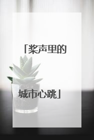 桨声里的城市心跳