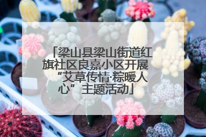 梁山县梁山街道红旗社区良嘉小区开展“艾草传情·粽暖人心”主题活动