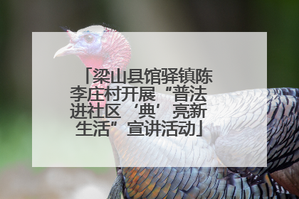 梁山县馆驿镇陈李庄村开展“普法进社区‘典’亮新生活”宣讲活动