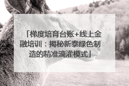 梯度培育台账+线上金融培训：揭秘新泰绿色制造的精准滴灌模式