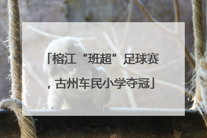 榕江“班超”足球赛，古州车民小学夺冠