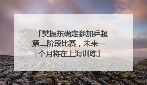 樊振东确定参加乒超第二阶段比赛，未来一个月将在上海训练