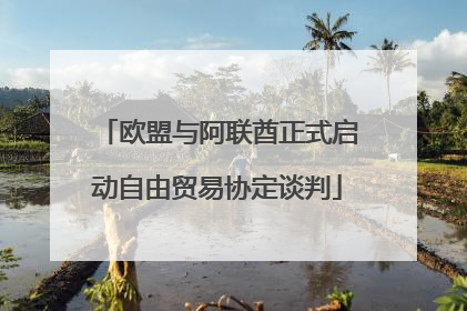 欧盟与阿联酋正式启动自由贸易协定谈判