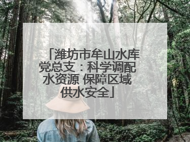 潍坊市牟山水库党总支：科学调配水资源 保障区域供水安全