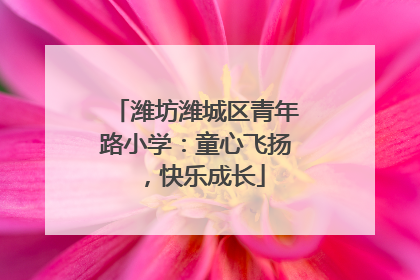 潍坊潍城区青年路小学：童心飞扬，快乐成长