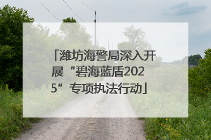 潍坊海警局深入开展“碧海蓝盾2025”专项执法行动