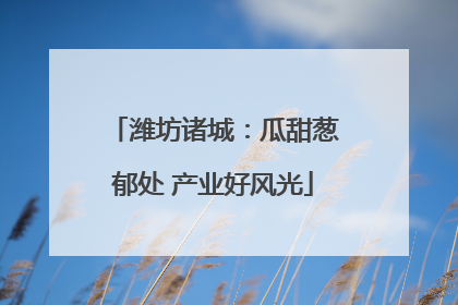 潍坊诸城：瓜甜葱郁处 产业好风光