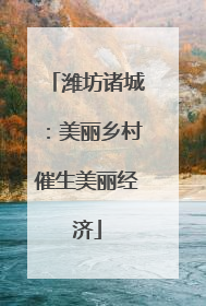 潍坊诸城：美丽乡村催生美丽经济