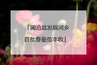 澜沧县发展河乡首批春蚕茧丰收