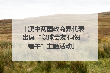 澳中两国政商界代表出席“以球会友·同贺端午”主题活动