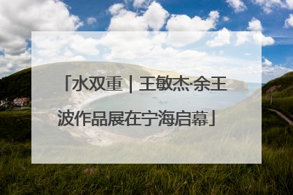水双重｜王敏杰·余王波作品展在宁海启幕