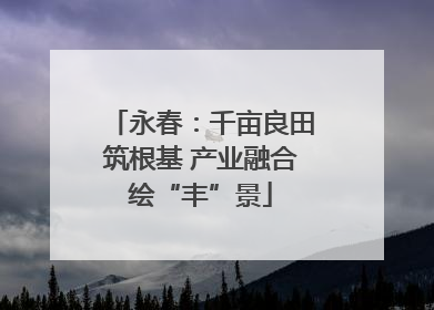 永春：千亩良田筑根基 产业融合绘“丰”景