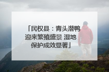 民权县：青头潜鸭迎来繁殖盛景 湿地保护成效显著