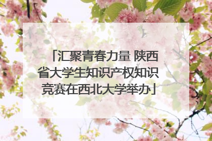 汇聚青春力量 陕西省大学生知识产权知识竞赛在西北大学举办