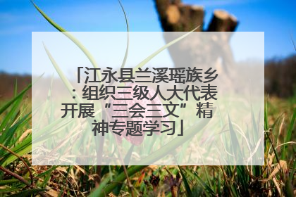 江永县兰溪瑶族乡：组织三级人大代表开展“三会三文”精神专题学习