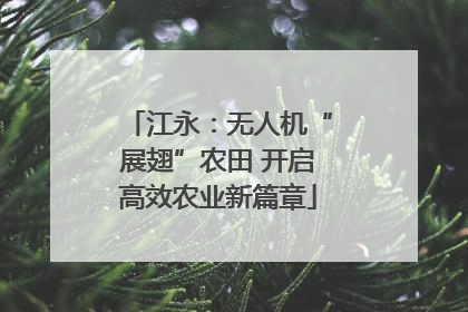 江永：无人机“展翅”农田 开启高效农业新篇章