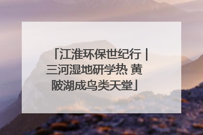 江淮环保世纪行｜三河湿地研学热 黄陂湖成鸟类天堂