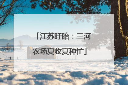 江苏盱眙：三河农场夏收夏种忙