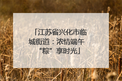 江苏省兴化市临城街道：浓情端午 “粽”享时光