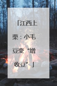江西上栗：小毛豆变“增收豆”