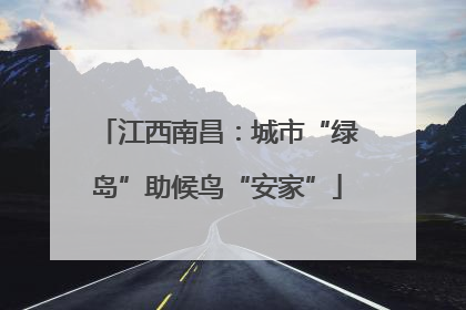 江西南昌：城市“绿岛”助候鸟“安家”