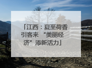 江西：夏至荷香引客来 “美丽经济”添新活力