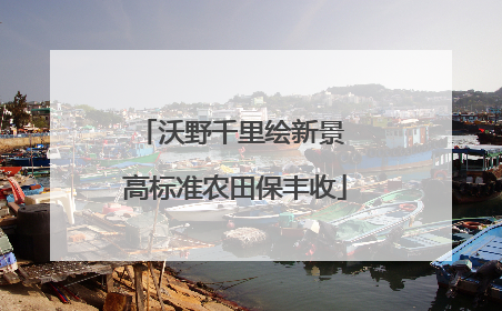 沃野千里绘新景 高标准农田保丰收