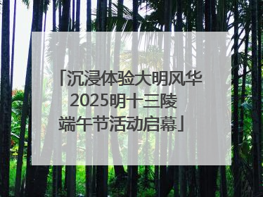沉浸体验大明风华 2025明十三陵端午节活动启幕