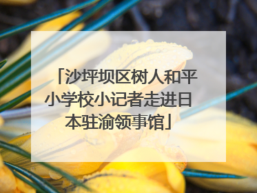 沙坪坝区树人和平小学校小记者走进日本驻渝领事馆