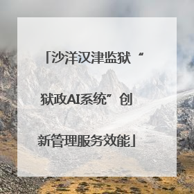 沙洋汉津监狱“狱政AI系统”创新管理服务效能