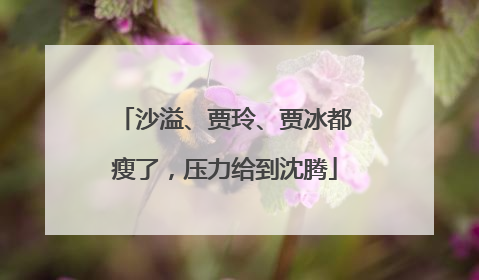 沙溢、贾玲、贾冰都瘦了，压力给到沈腾