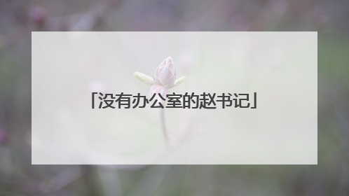 没有办公室的赵书记
