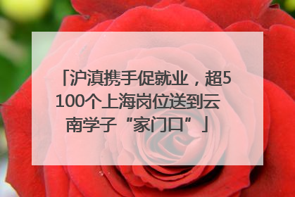 沪滇携手促就业，超5100个上海岗位送到云南学子“家门口”