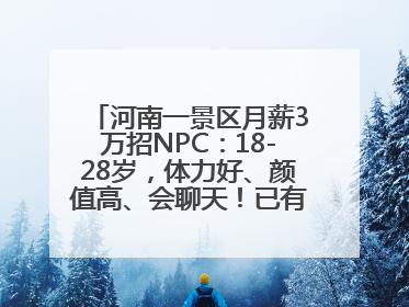 河南一景区月薪3万招NPC：18-28岁，体力好、颜值高、会聊天！已有1000多人应聘